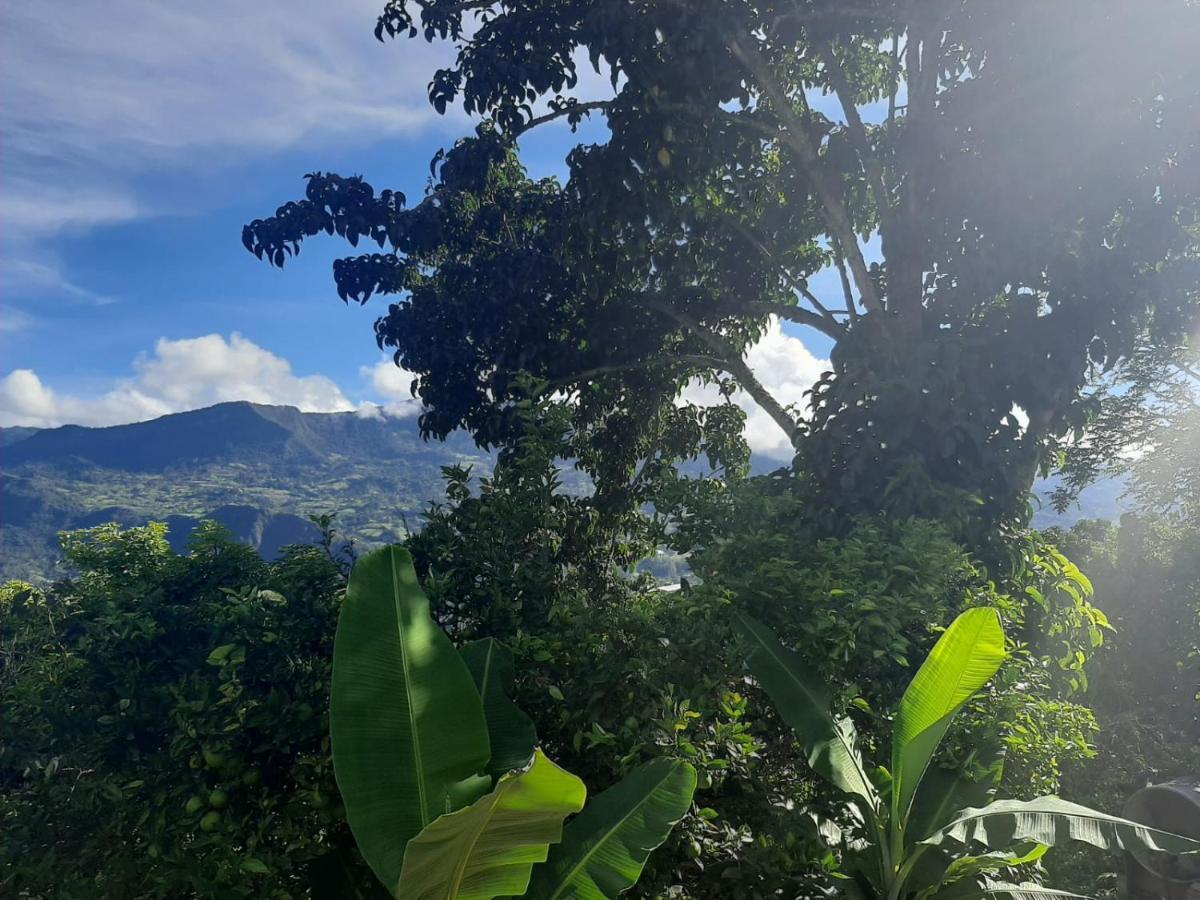 Finca Umnisa Choachí Exterior foto